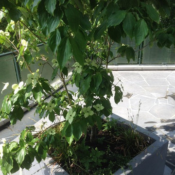 Terrasse 100m2 - Bruxelles - Détail