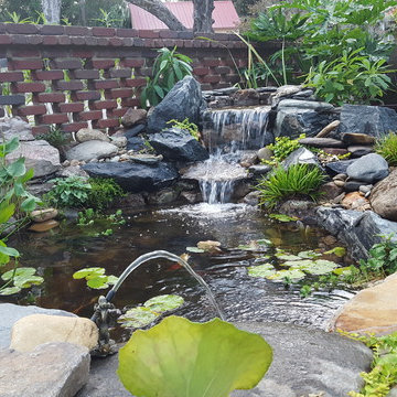 ECOSYSTEM KOI PONDS