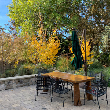 California Craftsman Forest - 5 Years Later