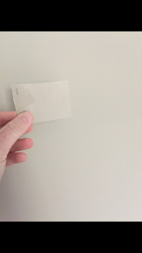 Stone Lion Sherwin Williams