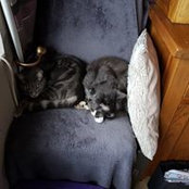 Michael Howes's photo