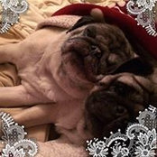 Maureen Fein Guinness's photo