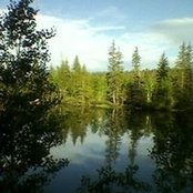 Felecia Briscoe's photo