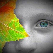 Laura Pinkstaff's photo