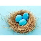 Jill Rotterman's photo