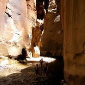 Nadine DeMartini's photo