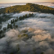 Riley Tangney's photo