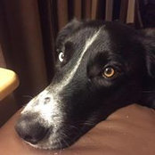 Lisa Mason's photo