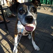 Carrie Warden's photo