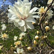Kay Moser's photo