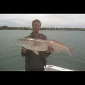Michael Schembri's photo