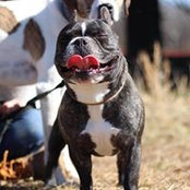 Chloe Wormser's photo