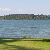 Yemisi Songo-Williams's photo