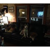 Jody VanBeek's photo