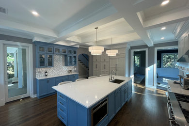 Inspiration for a kitchen remodel in DC Metro