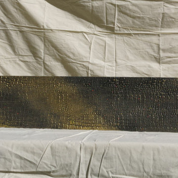 Safari Elegance: The Crocodile Venetian Plaster Cornice from Iam-ness