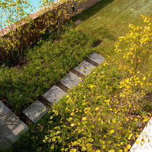 Pathways to front door and garage