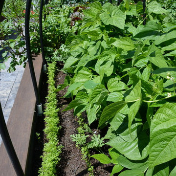 Raised Vegetable Bed / Ornamental Garden 2016