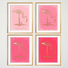 ashley_glasson's ideas