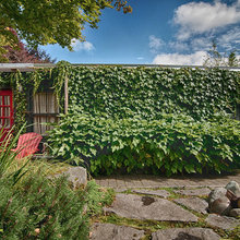 outdoor spaces