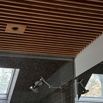 Spa-Inspired Modern Master Bath