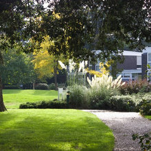 Garden Tour: An Idyllic Communal Garden Landscaped Around Ancient Trees