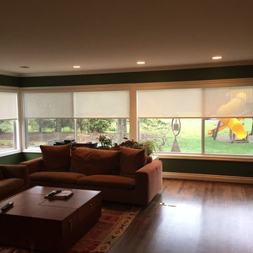 E Screen Shades in Franklin, Michigan