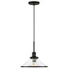 Milo 12.25 Wide Pendant with Glass Shade in Blackened Bronze/Clear