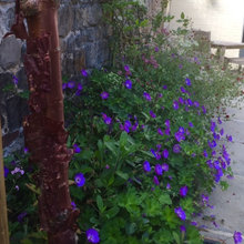 Outdoor Spaces