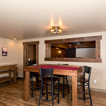 Basement Recreation Room and Home Theater