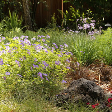 PETITE WILD MEADOW