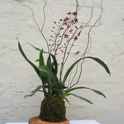 Orchid Slice - Products