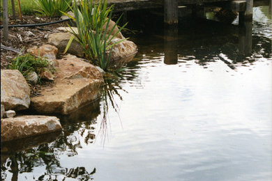 This is an example of a garden in Sunshine Coast.