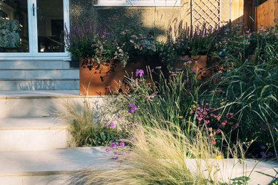 Inspiration for a small contemporary back xeriscape partial sun garden steps for summer with natural stone paving and all fence materials.