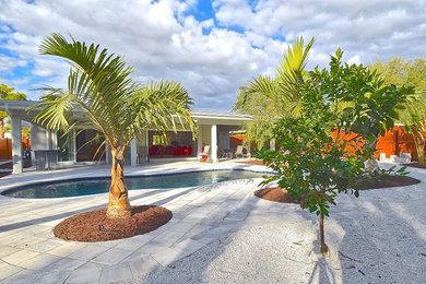 Inspiration for a large tropical backyard concrete paver and custom-shaped natural pool remodel in Tampa