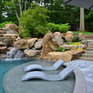 Naturalistic Swimming Pool Backyard