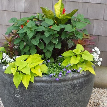 Container Gardening