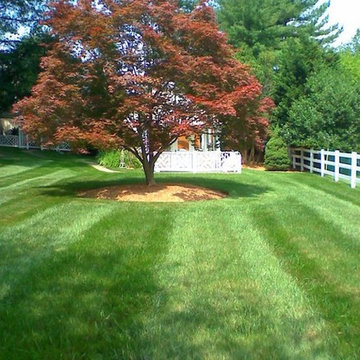 Our Work