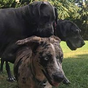 Betsy Hintzmann's photo