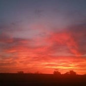 Robert Harris's photo