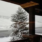 Hollie Sutton's photo