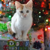 Jody Joyce's photo