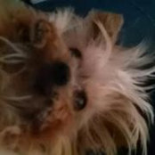 Jennifer Hepner's photo
