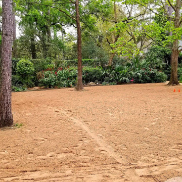 Sod Installation
