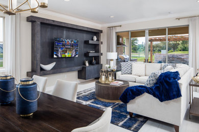 Living room - transitional living room idea in Orlando