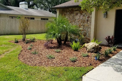 This is an example of a tropical landscaping in Tampa.