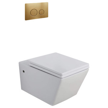 In-Wall Toilet Set, 2"x4" Carrier and Tank, Satin brass Round Metal Actuators