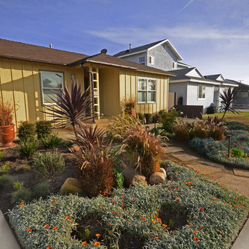 Ventura New California Landscape