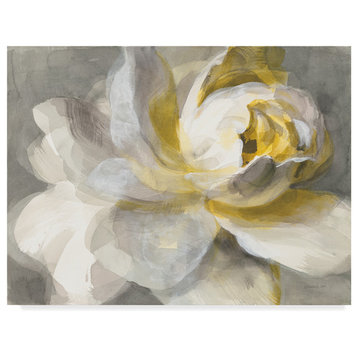 Danhui Nai 'Abstract Rose' Canvas Art