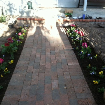 Annual laid around brick paver walkway